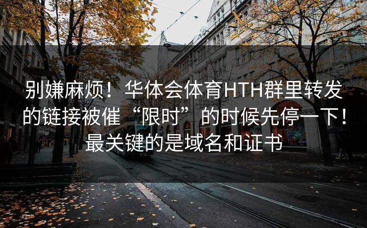 别嫌麻烦!华体会体育HTH群里转发的链接被催“限时”的时候先停一下!最关键的是域名和证书
